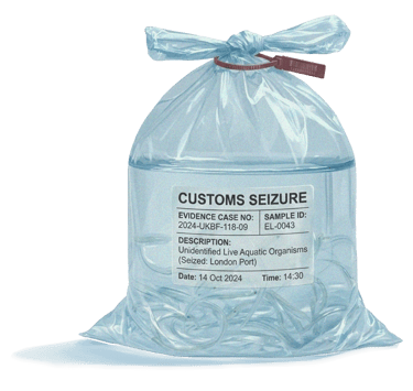 Customs Seizure, © 2026