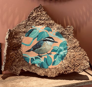 Acrylique sur écorce de liège, oiseau sitelle endémique de corse