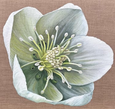 Peinture acrylique sur toile de jute, titre de l’œuvre : "Héllebore"