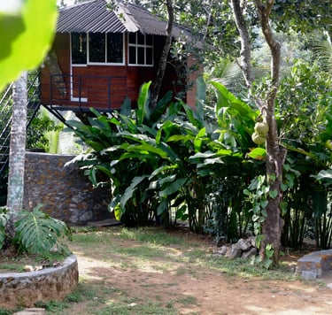 Treehouse