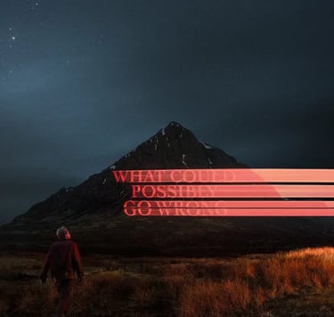 What Could Possibly Go Wrong album cover 