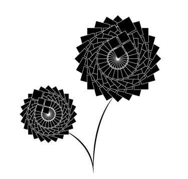 Two flowers black and white drawing