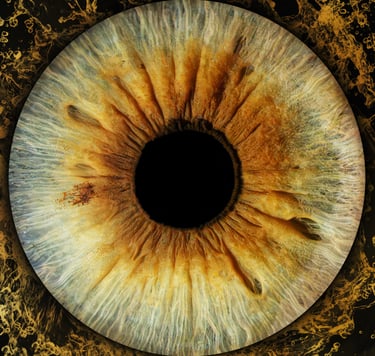 Close up of Dr. Bryant's Iris, Iris Photography