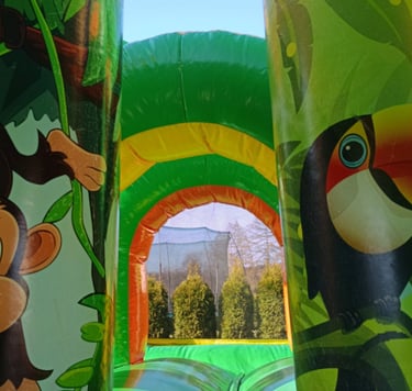 Auf Safari Multiplay