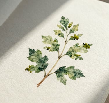 A minimalist, high-detail photograph of a single delicate botanical watercolor illustration on thick, creamy white textured paper. Soft natural morning light creates gentle shadows. The colors include deep forest green and soft moss accents. Serene and elegant composition.