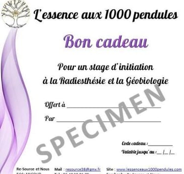 Bon et chéque cadeau 