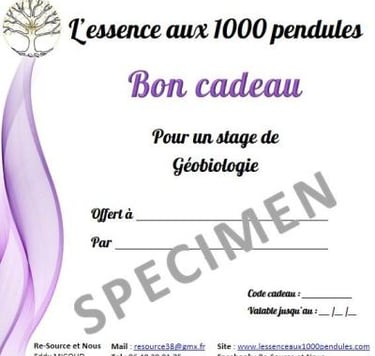 Bon et chéque cadeau