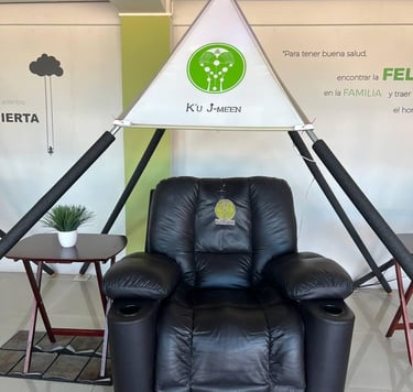 Bioenergía Piramidal