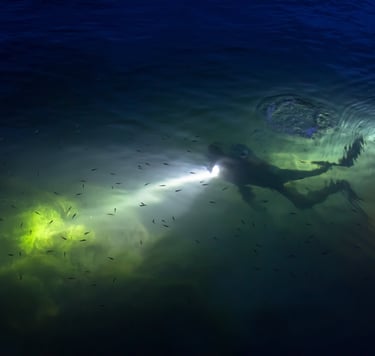 Night diver image