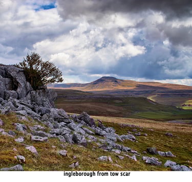 a lone tree on a rocky mountain side facing ingleborough fell