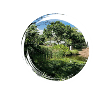 Jardin Botanico
