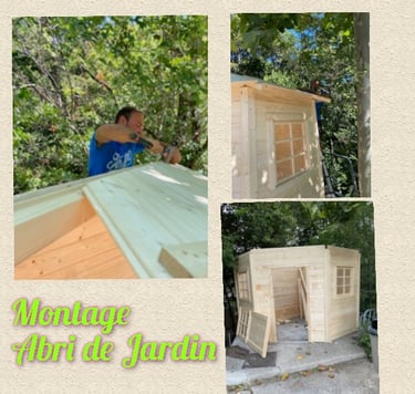 Étapes de montage d'un abri de jardin en bois par un bricoleur dans un jardin ombragé.