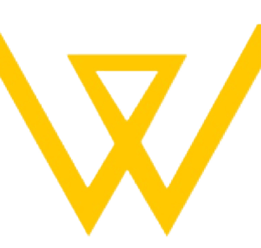 wili construmet madrid logo wili-construmet