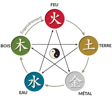 scema des 5 elements en Médecine Traditinnelle Chinoise