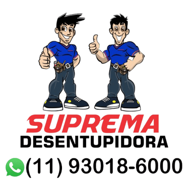 logo da desentupidora