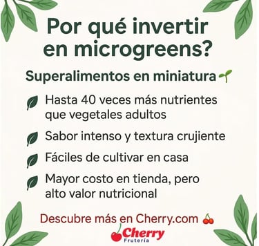 Iconos de vitaminas y sabor