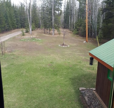 The original lawn at the property, prior to creation of a home garden and expansion into Grouse House Farm