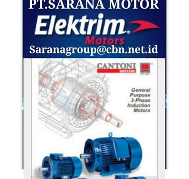 Jual Teco Electric Motor, jual Tatung Electric Motor, jual Elektrim Cantoni Electric Motor