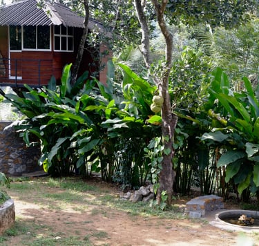 Treehouse