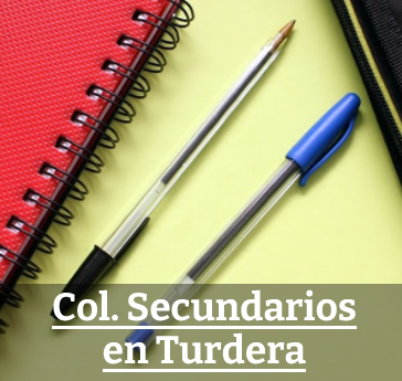 Colegios Secundarios de Turdera