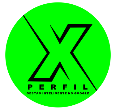 Agencia Perfil X Gestao Inteligente no Google