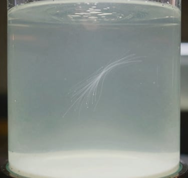 Experimental photography showing the interaction of light particles in a hazy, milky glass chamber. Faint trails of subatomic movement suggest the presence of bosons, with a palette of soft white and muted sage grey.