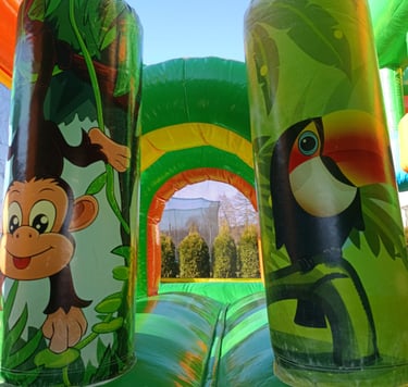 Auf Safari Multiplay