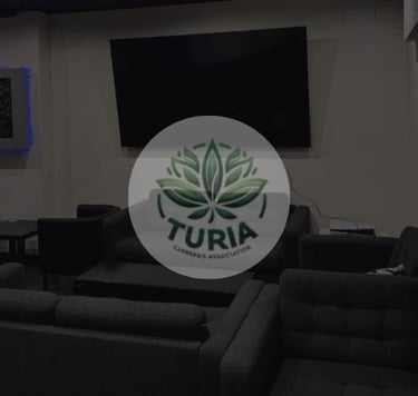  Interior moderno de la Asociación Cannábica Turia con logo sobre imagen