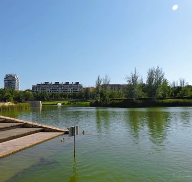 Lago con patos en el Parque de la Cabecera