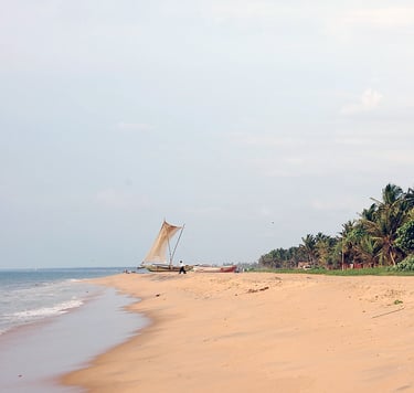 Negombo Beach