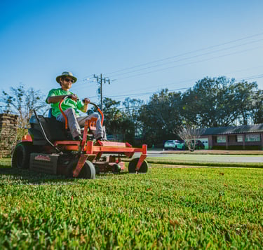 Lawn Care Jacksonville FL