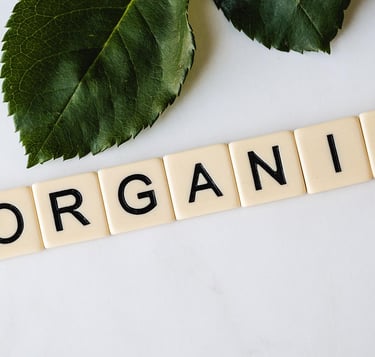 organic and eco-conscious sustainable items, greenwash product alternatives