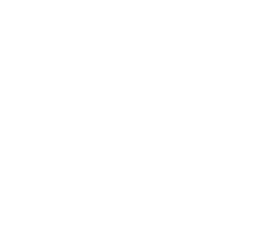 شعار وتد WTD براندينق