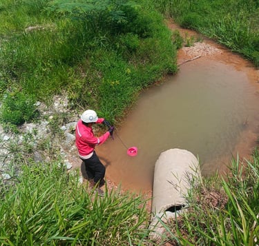 Water quality monitoring
