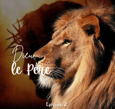 Un lion qui a le regard perçant 