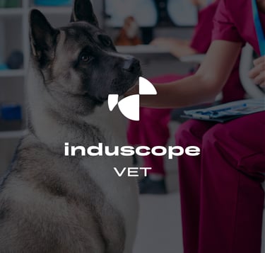 Identité visuelle pour Induscope VET, endoscopes vétérinaires