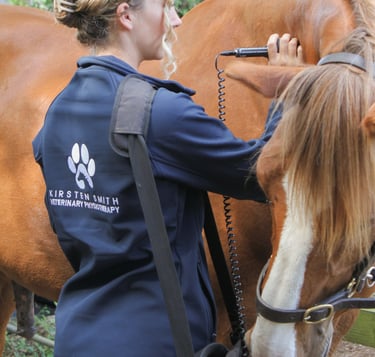equine laser therapy for equine physiotherapy and massage therapy cornwall