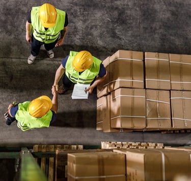IMPORTATION at lapenica