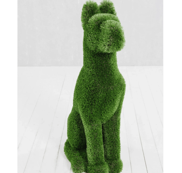 turf dog for sale for Jupiter florida weddings