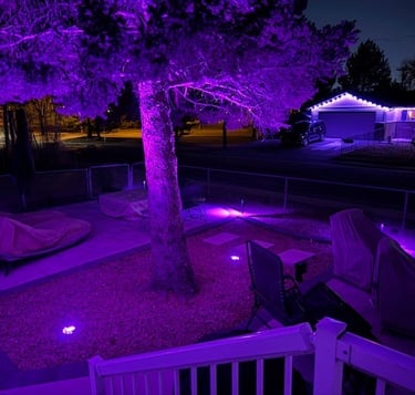 Purple LED landscape lighting illuminates a large tree and backyard patio at night.