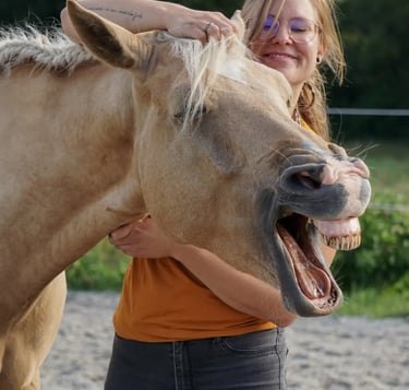 Pferdetherapie, Pferdeosteopathie Eifel, Entspannungszeichen Pferd, relax Pferd