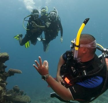 Imagen curso Divemaster