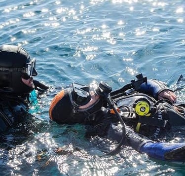 Imagen del curso Rescue Diver