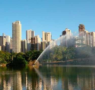 Contrate uma Franquia de Cursos de Banho e Tosa para Goiânia