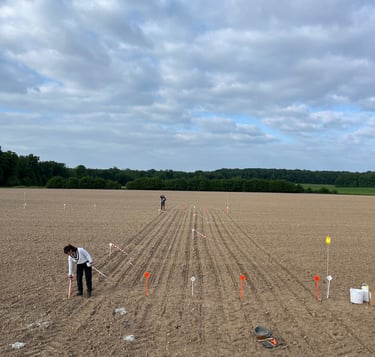 expérimentation agronomique