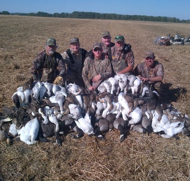 Saskatchewan waterfowl hunts - pile of geese