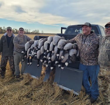 Saskatchewan waterfowl hunts - limit of canada geese with hunters