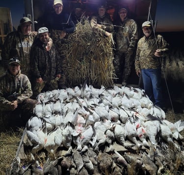 Saskatchewan waterfowl hunts - great saskatchewan snow goose and duck hunt