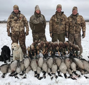 Saskatchewan waterfowl hunts - limit of ducks and geese