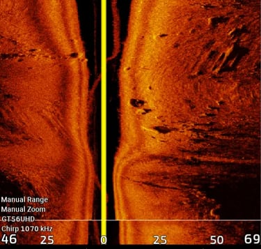 side image of fish and shadow in suspension